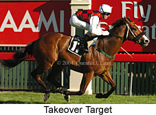 Takeover Target (21625 bytes)