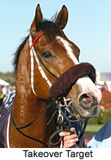 Takeover Target (21625 bytes)