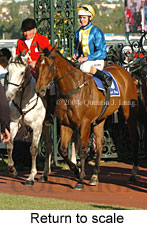 Return to scale (17769 bytes)