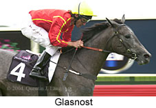 Glasnost (15911 bytes)