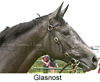 Glasnost (10798 bytes)