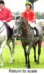 Return to scale (12613 bytes)