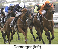 Demerger (15143 bytes)