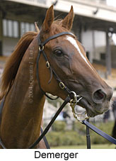 Demerger (12552 bytes)