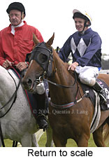 Return to scale (13922 bytes)