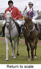 Return to scale (13985 bytes)