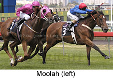 Moolah (16981 bytes)