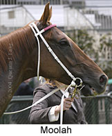 Moolah (11947 bytes)