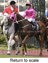 Return to scale (16193 bytes)