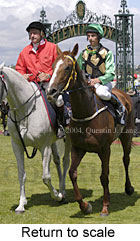 Return to scale (16371 bytes)