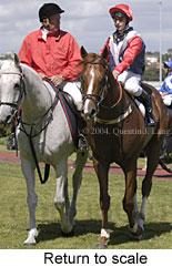 Return to scale (16947 bytes)