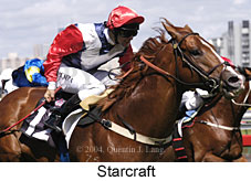 Starcraft (17043 bytes)