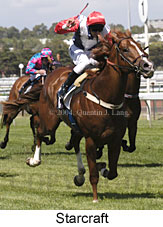 Starcraft (16607 bytes)