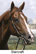 Starcraft (10977 bytes)