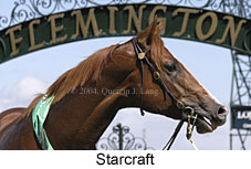 Starcraft (13664 bytes)