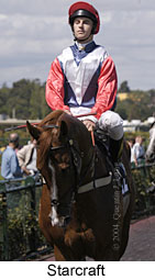 Starcraft (13204 bytes)