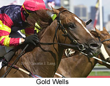 Gold Wells (16793 bytes)