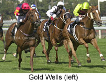 Gold Wells (16786 bytes)