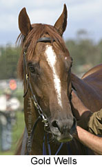 Gold Wells (11201 bytes)