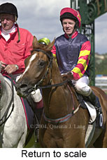 Return to scale (14981 bytes)