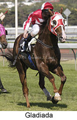 Gladiada(16577 bytes)