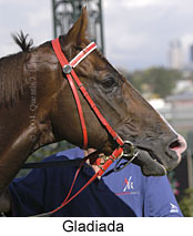 Gladiada (12515 bytes)