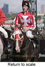 Return to scale (15164 bytes)