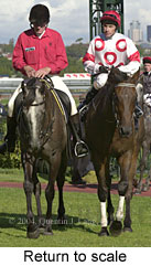 Return to scale (15146 bytes)