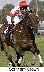 Southern Crown (15172 bytes)