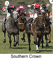 Southern Crown (17331 bytes)