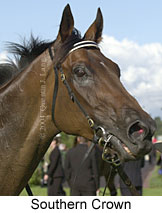 Southern Crown (11552 bytes)