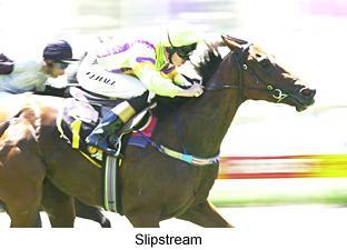 1slipstream.jpg (13553 bytes)