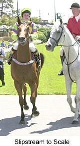 1slipstreamtoscale.jpg (13254 bytes)