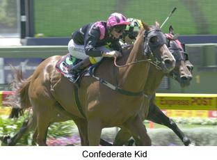 2confederatekid.jpg (15059 bytes)