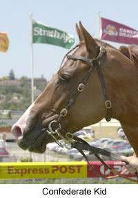 2confederatekid2.jpg (11690 bytes)