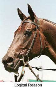 4logicalreason2.jpg (10633 bytes)