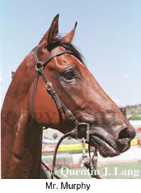 5mrmurphy2.jpg (10475 bytes)