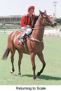 5rtoscale.jpg (15495 bytes)