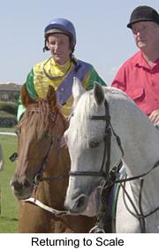 7rtoscale.jpg (11034 bytes)