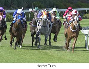 8hometurn.jpg (18839 bytes)