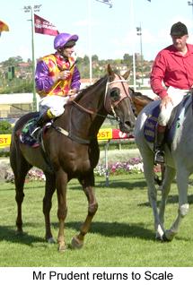 8mprudent2.jpg (18590 bytes)