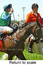 Return to scale (15361 bytes)