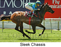 Sleek Chassis (14872 bytes)