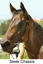 Sleek Chassis (14872 bytes)