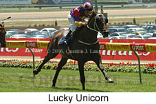 Lucky Unicorn (14872 bytes)