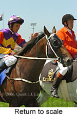 Return to scale (15361 bytes)