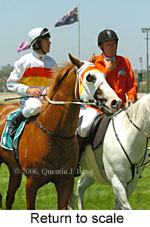 Return to scale (15361 bytes)