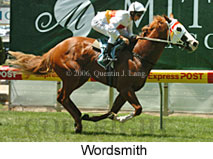 Wordsmith (14872 bytes)