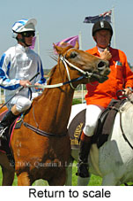 Return to scale (15361 bytes)