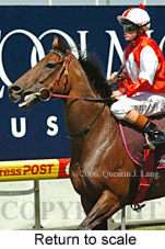 Return to scale (15361 bytes)